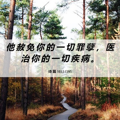 Picture 06 - 诗 篇 103:3 CUVS - 他 赦 免 你 的 一 切 罪 孽 ， 医 治 - Bible Verse Picture
