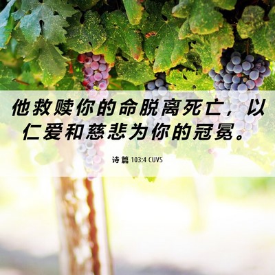 Picture 06 - 诗 篇 103:4 CUVS - 他 救 赎 你 的 命 脱 离 死 亡 ， 以 - Bible Verse Picture