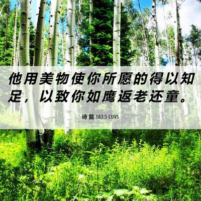 Picture 06 - 诗 篇 103:5 CUVS - 他 用 美 物 使 你 所 愿 的 得 以 知 - Bible Verse Picture