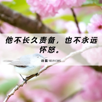Picture 06 - 诗 篇 103:9 CUVS - 他 不 长 久 责 备 ， 也 不 永 远 怀 - Bible Verse Picture