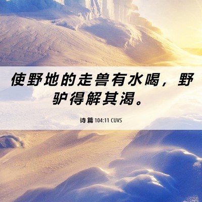 Picture 06 - 诗 篇 104:11 CUVS - 使 野 地 的 走 兽 有 水 喝 ， 野 驴 - Bible Verse Picture