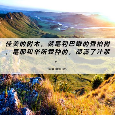 Picture 06 - 诗 篇 104:16 CUVS - 佳 美 的 树 木 ， 就 是 利 巴 嫩 的 - Bible Verse Picture
