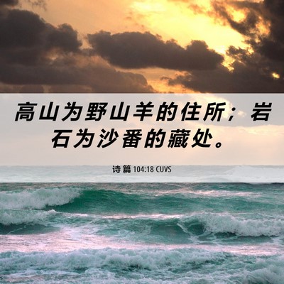 Picture 06 - 诗 篇 104:18 CUVS - 高 山 为 野 山 羊 的 住 所 ； 岩 石 - Bible Verse Picture