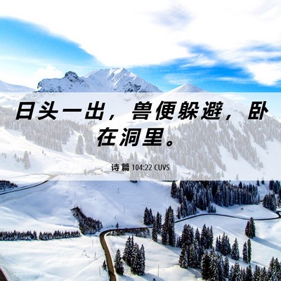 Picture 06 - 诗 篇 104:22 CUVS - 日 头 一 出 ， 兽 便 躲 避 ， 卧 在 - Bible Verse Picture