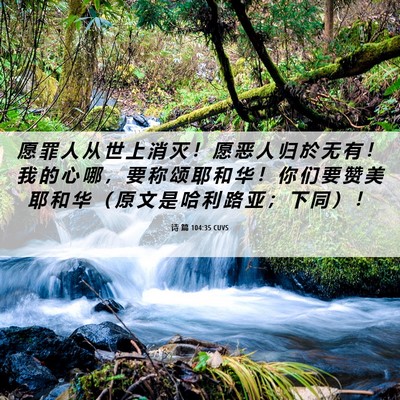 Picture 06 - 诗 篇 104:35 CUVS - 愿 罪 人 从 世 上 消 灭 ！ 愿 恶 人 - Bible Verse Picture