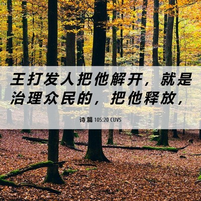 Picture 06 - 诗 篇 105:20 CUVS - 王 打 发 人 把 他 解 开 ， 就 是 治 - Bible Verse Picture