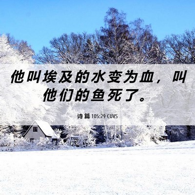 Picture 06 - 诗 篇 105:29 CUVS - 他 叫 埃 及 的 水 变 为 血 ， 叫 他 - Bible Verse Picture