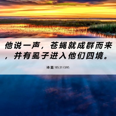 Picture 06 - 诗 篇 105:31 CUVS - 他 说 一 声 ， 苍 蝇 就 成 群 而 来 - Bible Verse Picture