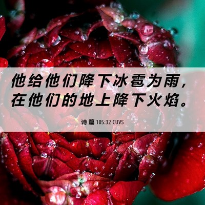 Picture 06 - 诗 篇 105:32 CUVS - 他 给 他 们 降 下 冰 雹 为 雨 ， 在 - Bible Verse Picture