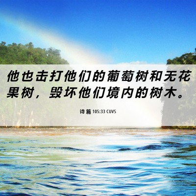 Picture 06 - 诗 篇 105:33 CUVS - 他 也 击 打 他 们 的 葡 萄 树 和 无 - Bible Verse Picture