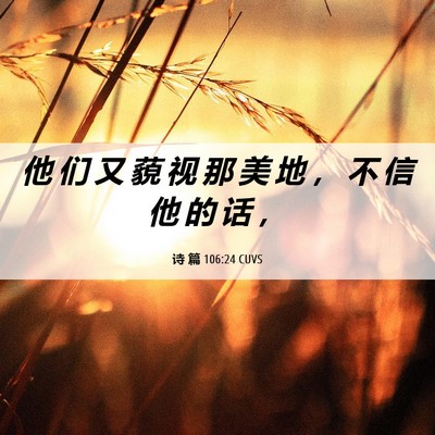 Picture 06 - 诗 篇 106:24 CUVS - 他 们 又 藐 视 那 美 地 ， 不 信 他 - Bible Verse Picture