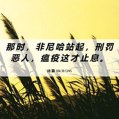 Picture 06 - 诗 篇 106:30 CUVS - 那 时 ， 非 尼 哈 站 起 ， 刑 罚 恶 - Bible Verse Picture