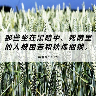 Picture 06 - 诗 篇 107:10 CUVS - 那 些 坐 在 黑 暗 中 、 死 荫 里 的 - Bible Verse Picture