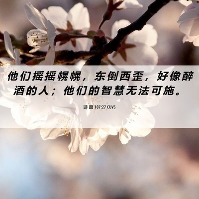 Picture 06 - 诗 篇 107:27 CUVS - 他 们 摇 摇 幌 幌 ， 东 倒 西 歪 ， - Bible Verse Picture