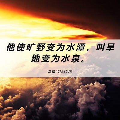 Picture 06 - 诗 篇 107:35 CUVS - 他 使 旷 野 变 为 水 潭 ， 叫 旱 地 - Bible Verse Picture