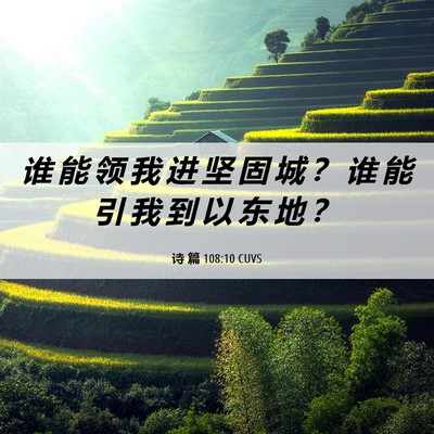 Picture 06 - 诗 篇 108:10 CUVS - 谁 能 领 我 进 坚 固 城 ？ 谁 能 引 - Bible Verse Picture