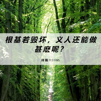 Picture 06 - 诗 篇 11:3 CUVS - 根 基 若 毁 坏 ， 义 人 还 能 做 甚 - Bible Verse Picture
