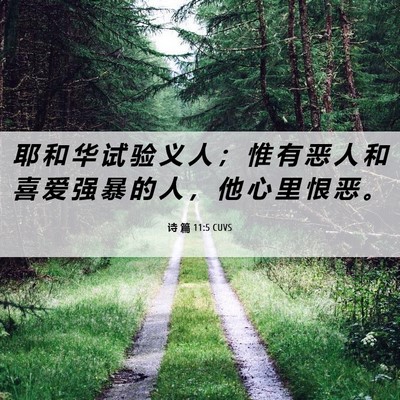 Picture 06 - 诗 篇 11:5 CUVS - 耶 和 华 试 验 义 人 ； 惟 有 恶 人 - Bible Verse Picture