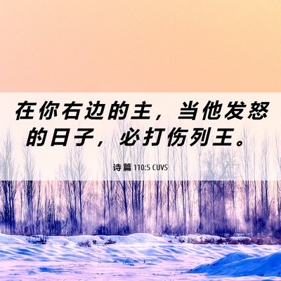 Picture 06 - 诗 篇 110:5 CUVS - 在 你 右 边 的 主 ， 当 他 发 怒 的 - Bible Verse Picture