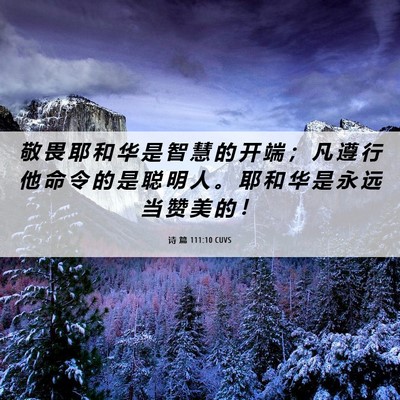 Picture 06 - 诗 篇 111:10 CUVS - 敬 畏 耶 和 华 是 智 慧 的 开 端 ； - Bible Verse Picture
