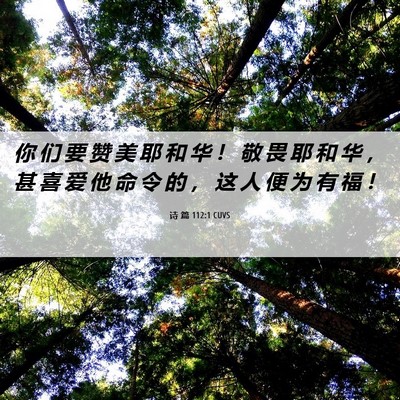 Picture 06 - 诗 篇 112:1 CUVS - 你 们 要 赞 美 耶 和 华 ！ 敬 畏 耶 - Bible Verse Picture