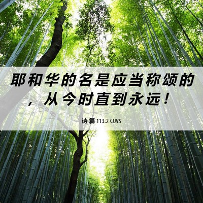 Picture 06 - 诗 篇 113:2 CUVS - 耶 和 华 的 名 是 应 当 称 颂 的 ， - Bible Verse Picture