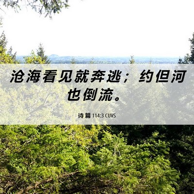 Picture 06 - 诗 篇 114:3 CUVS - 沧 海 看 见 就 奔 逃 ； 约 但 河 也 - Bible Verse Picture