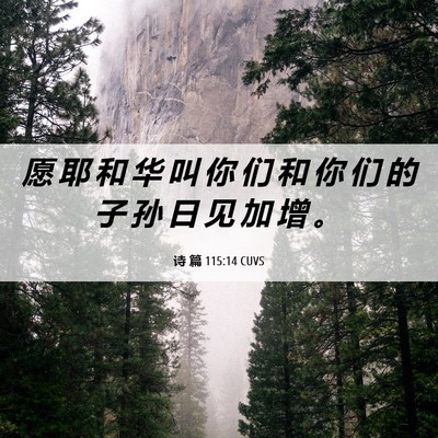Picture 06 - 诗 篇 115:14 CUVS - 愿 耶 和 华 叫 你 们 和 你 们 的 子 - Bible Verse Picture