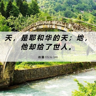 Picture 06 - 诗 篇 115:16 CUVS - 天 ， 是 耶 和 华 的 天 ； 地 ， 他 - Bible Verse Picture