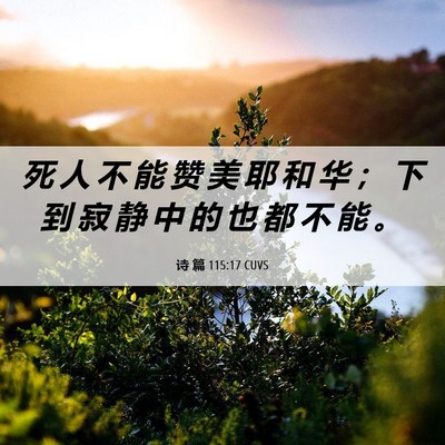 Picture 06 - 诗 篇 115:17 CUVS - 死 人 不 能 赞 美 耶 和 华 ； 下 到 - Bible Verse Picture