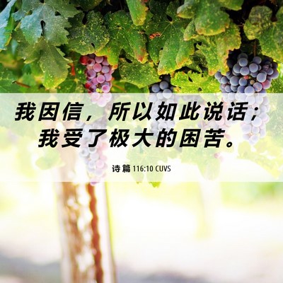 Picture 06 - 诗 篇 116:10 CUVS - 我 因 信 ， 所 以 如 此 说 话 ； 我 - Bible Verse Picture