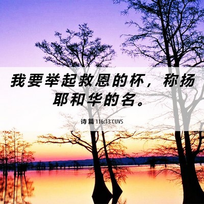 Picture 06 - 诗 篇 116:13 CUVS - 我 要 举 起 救 恩 的 杯 ， 称 扬 耶 - Bible Verse Picture