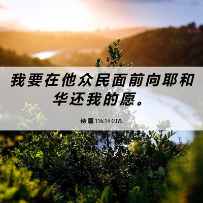 Picture 06 - 诗 篇 116:14 CUVS - 我 要 在 他 众 民 面 前 向 耶 和 华 - Bible Verse Picture