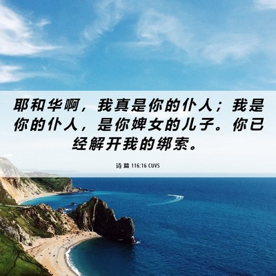 Picture 06 - 诗 篇 116:16 CUVS - 耶 和 华 啊 ， 我 真 是 你 的 仆 人 - Bible Verse Picture