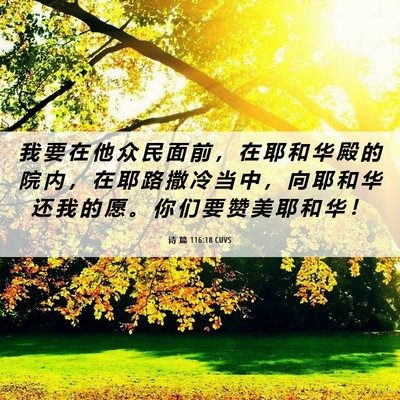 Picture 06 - 诗 篇 116:18 CUVS - 我 要 在 他 众 民 面 前 ， 在 耶 和 - Bible Verse Picture