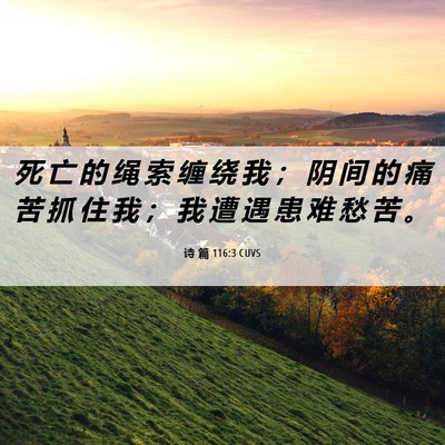 Picture 06 - 诗 篇 116:3 CUVS - 死 亡 的 绳 索 缠 绕 我 ； 阴 间 的 - Bible Verse Picture