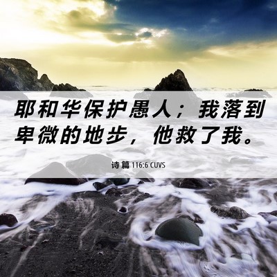 Picture 06 - 诗 篇 116:6 CUVS - 耶 和 华 保 护 愚 人 ； 我 落 到 卑 - Bible Verse Picture