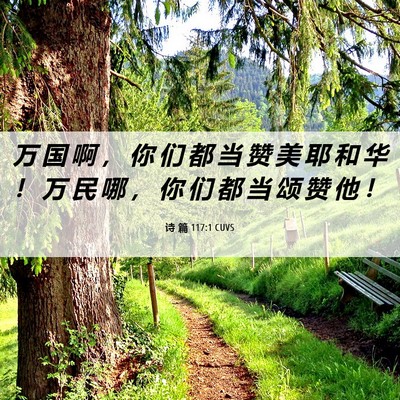 Picture 06 - 诗 篇 117:1 CUVS - 万 国 啊 ， 你 们 都 当 赞 美 耶 和 - Bible Verse Picture