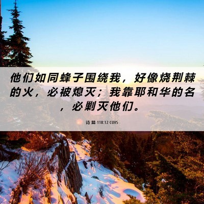 Picture 06 - 诗 篇 118:12 CUVS - 他 们 如 同 蜂 子 围 绕 我 ， 好 像 - Bible Verse Picture