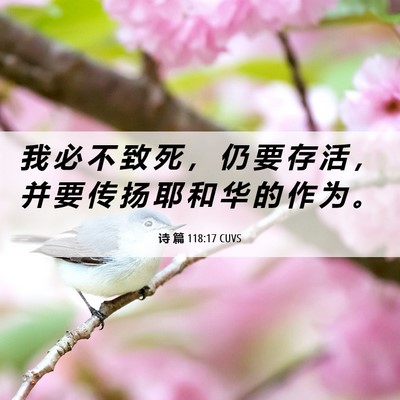 Picture 06 - 诗 篇 118:17 CUVS - 我 必 不 致 死 ， 仍 要 存 活 ， 并 - Bible Verse Picture