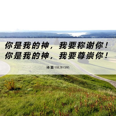 Picture 06 - 诗 篇 118:28 CUVS - 你 是 我 的 神 ， 我 要 称 谢 你 ！ - Bible Verse Picture