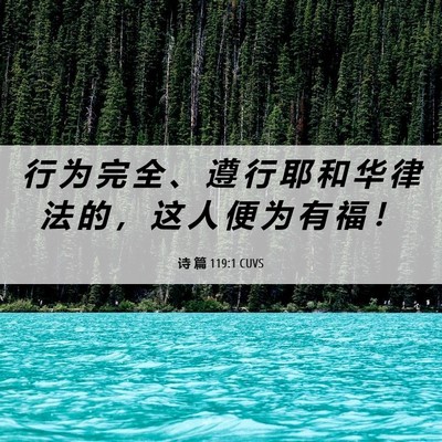 Picture 06 - 诗 篇 119:1 CUVS - 行 为 完 全 、 遵 行 耶 和 华 律 法 - Bible Verse Picture
