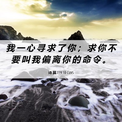 Picture 06 - 诗 篇 119:10 CUVS - 我 一 心 寻 求 了 你 ； 求 你 不 要 - Bible Verse Picture