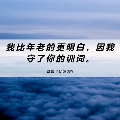 Picture 06 - 诗 篇 119:100 CUVS - 我 比 年 老 的 更 明 白 ， 因 我 守 - Bible Verse Picture