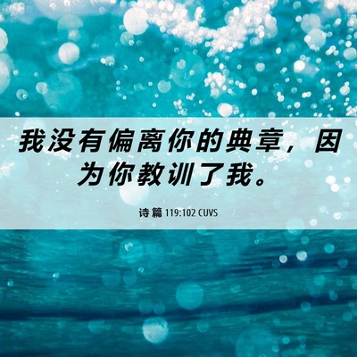 Picture 06 - 诗 篇 119:102 CUVS - 我 没 有 偏 离 你 的 典 章 ， 因 为 - Bible Verse Picture