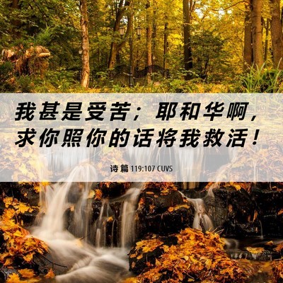 Picture 06 - 诗 篇 119:107 CUVS - 我 甚 是 受 苦 ； 耶 和 华 啊 ， 求 - Bible Verse Picture