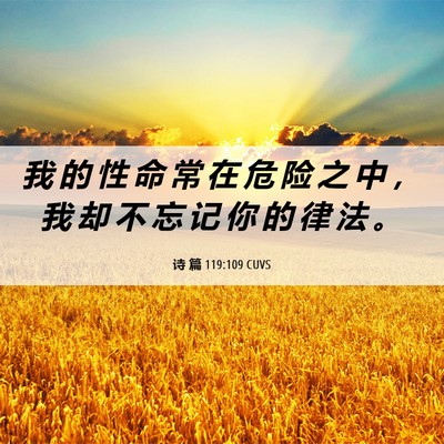 Picture 06 - 诗 篇 119:109 CUVS - 我 的 性 命 常 在 危 险 之 中 ， 我 - Bible Verse Picture