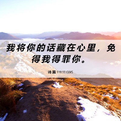 Picture 06 - 诗 篇 119:11 CUVS - 我 将 你 的 话 藏 在 心 里 ， 免 得 - Bible Verse Picture