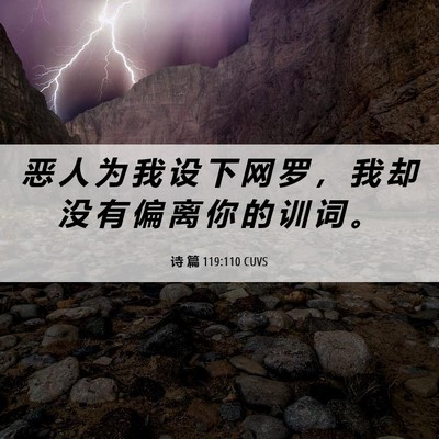 Picture 06 - 诗 篇 119:110 CUVS - 恶 人 为 我 设 下 网 罗 ， 我 却 没 - Bible Verse Picture