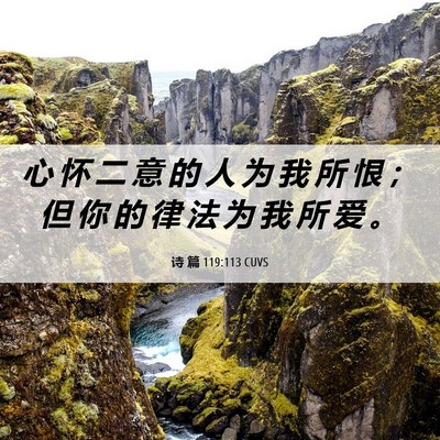 Picture 06 - 诗 篇 119:113 CUVS - 心 怀 二 意 的 人 为 我 所 恨 ； 但 - Bible Verse Picture